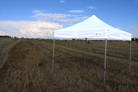 Tenda di vendita per mostre di piante